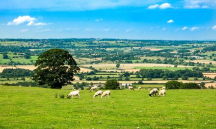 Charity reveals plans for campsite dedicated to holidays for the most disadvantaged families in Leeds.
