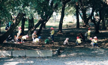 What Is Forest School And How will It Benefit My Child?