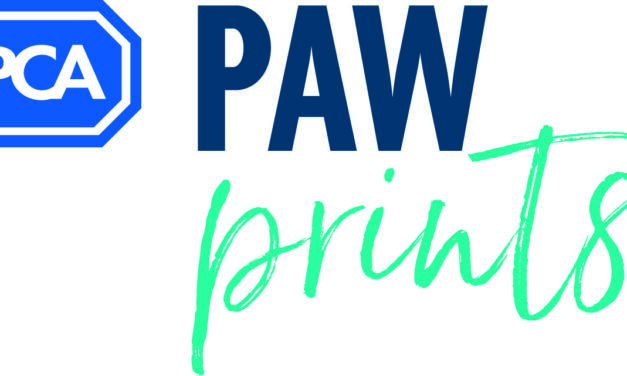 Time is running out! One month left to enter RSPCA PawPrints Awards