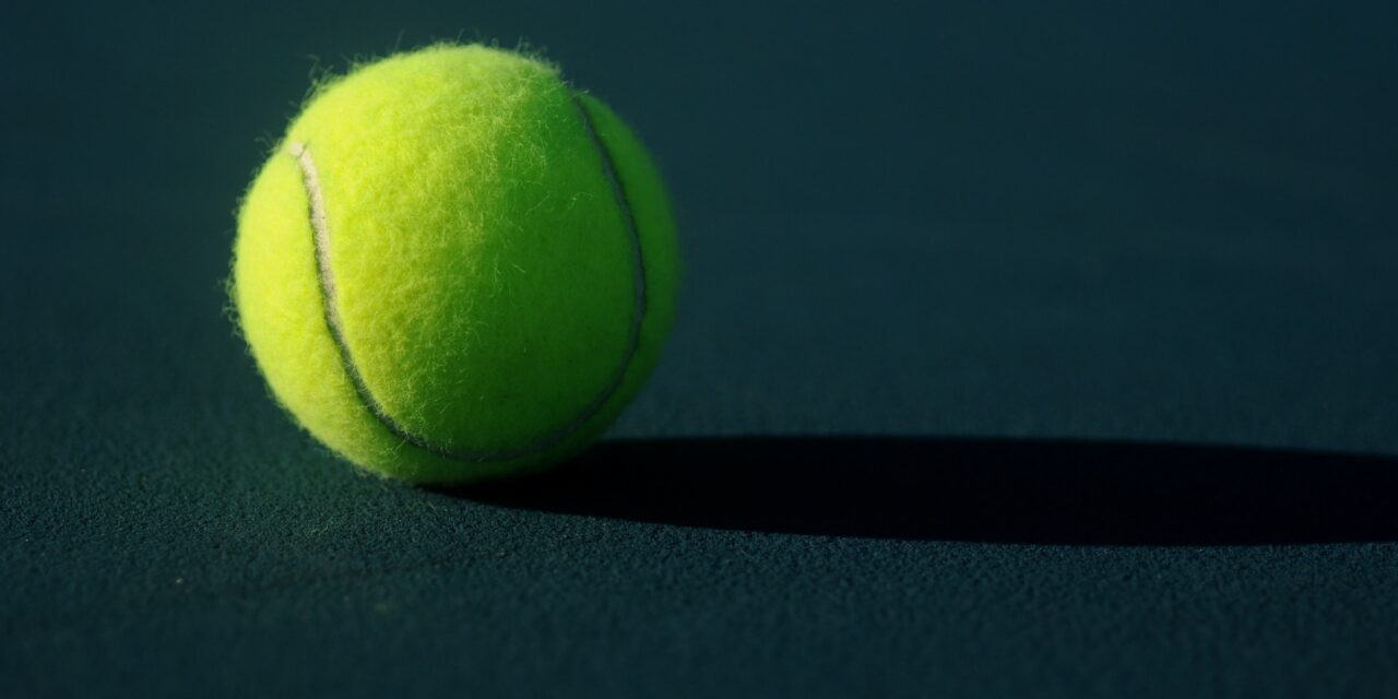 Match Point! Wimbledon homeowner serves up an ace with simple money-making hack