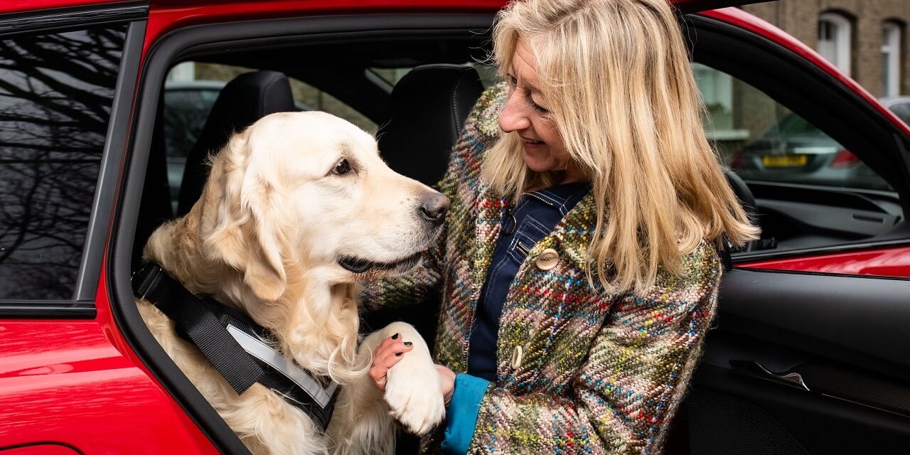 Hot dogs? No thanks! Keep your canines cool in the car as temperatures soar