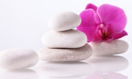 How to Design a Hospitality Washroom with Wellness in Mind