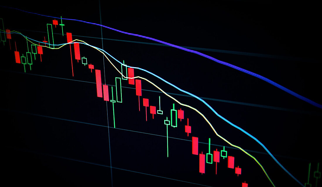 Factfile: USD Coin