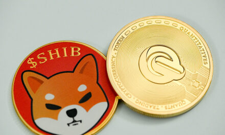 Fact file: Shiba inu
