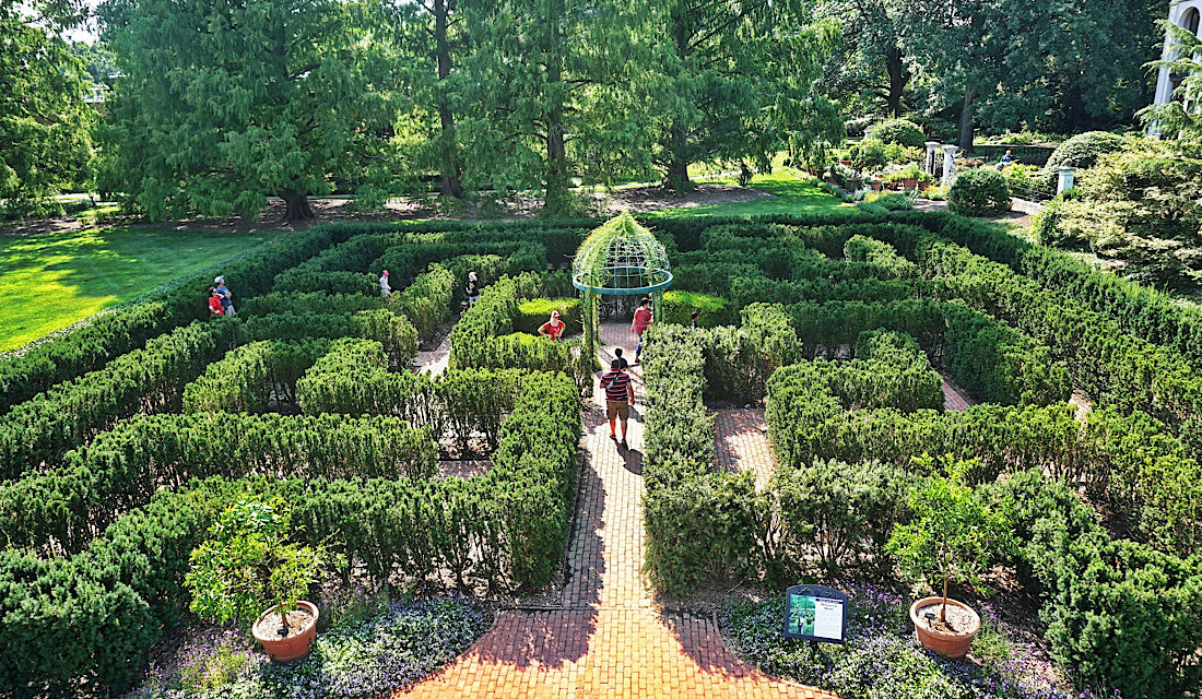 York Maze, are you ready for this?