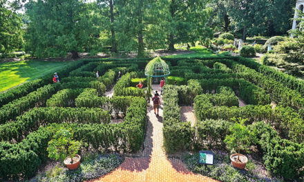York Maze, are you ready for this?