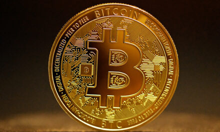 Fact File: Mantle Coin
