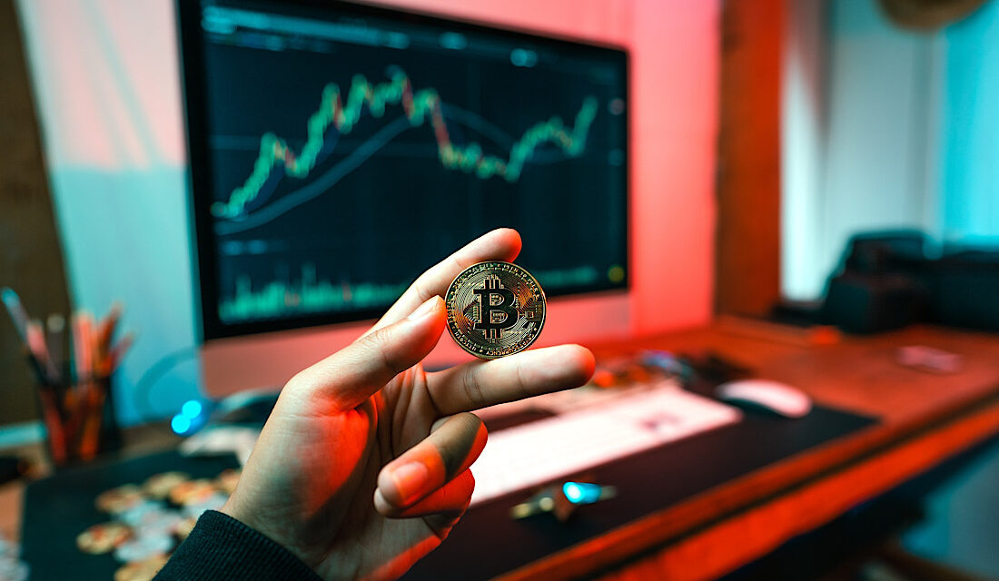 Fact File: VeChain Coin