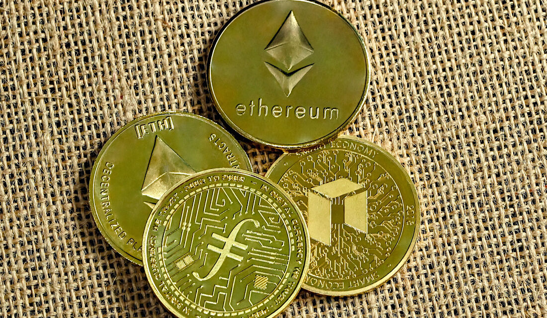 Fact File: Immutable Coin