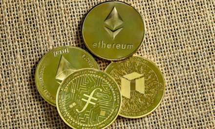 Fact File: Immutable Coin