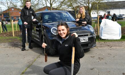 MINI plants over 8,000 trees through Tiny Forest partnership