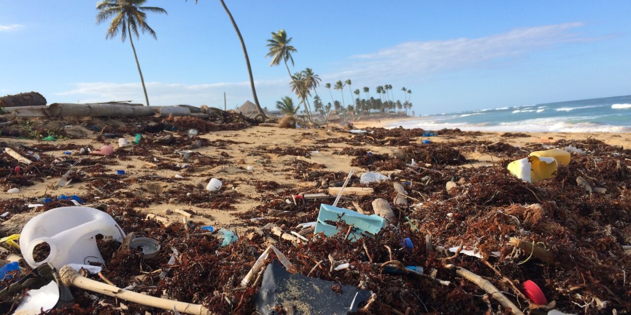 Plastic Free July: How Can You Pitch in?