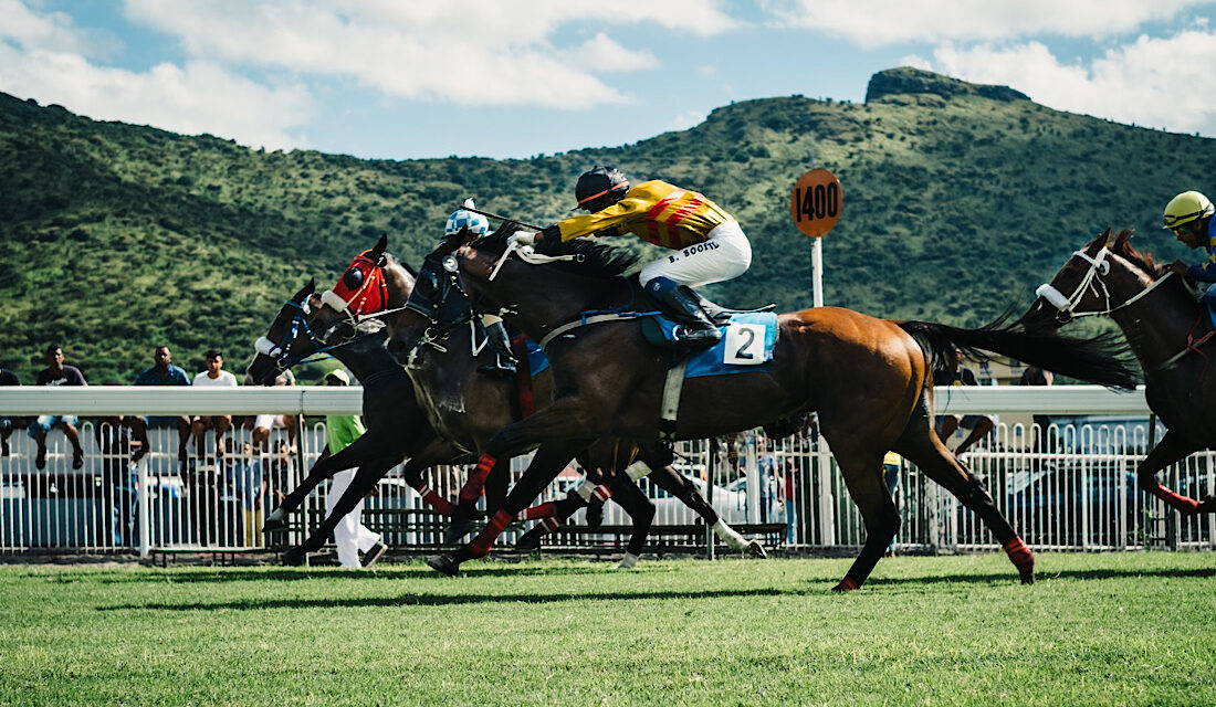 The Horse Racing Courses in East Midlands