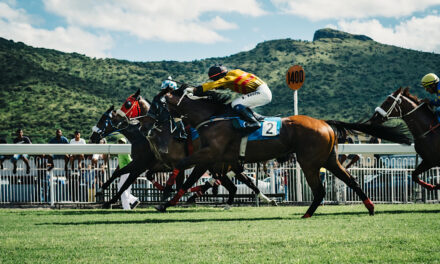 The Horse Racing Courses in East Midlands