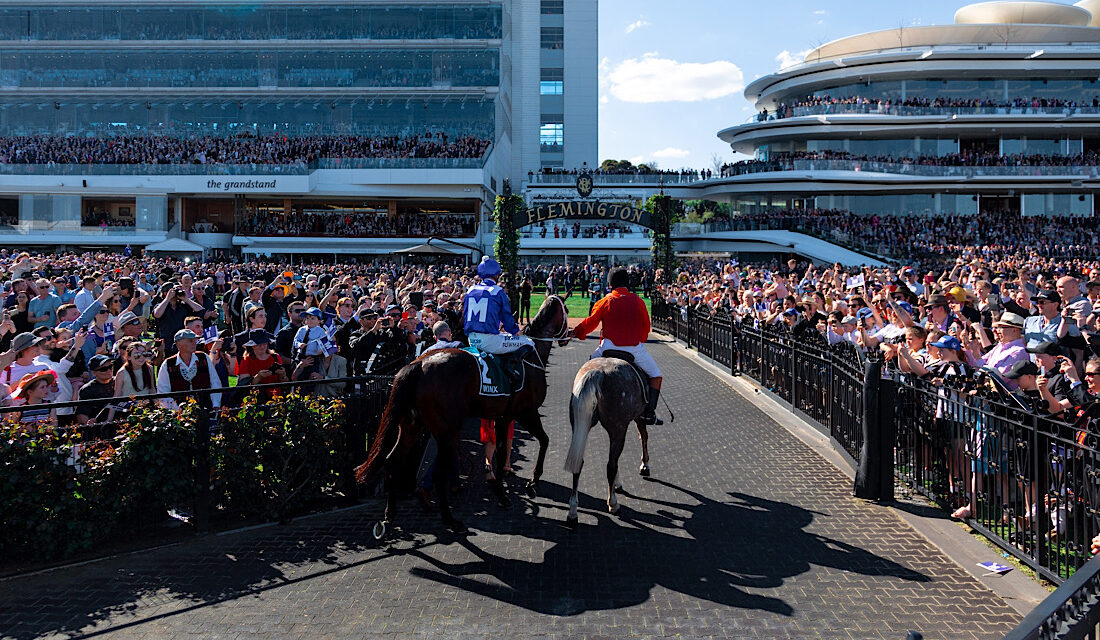 The Horse Racing Courses in South West England