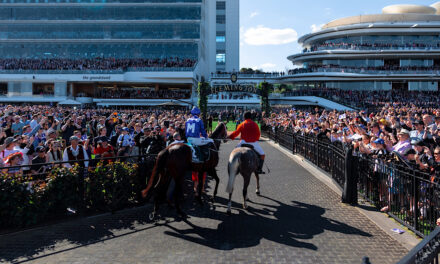 The Horse Racing Courses in South West England