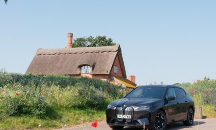 BMW unveils exclusive new partnership with Wilderness Reserve