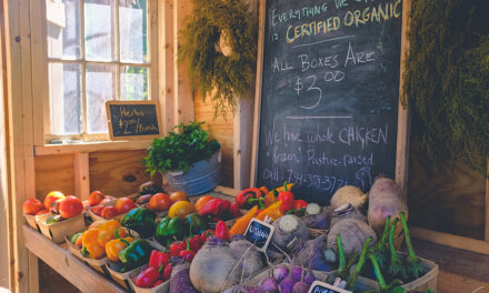 September if Organic Month, Are you Ready for it?