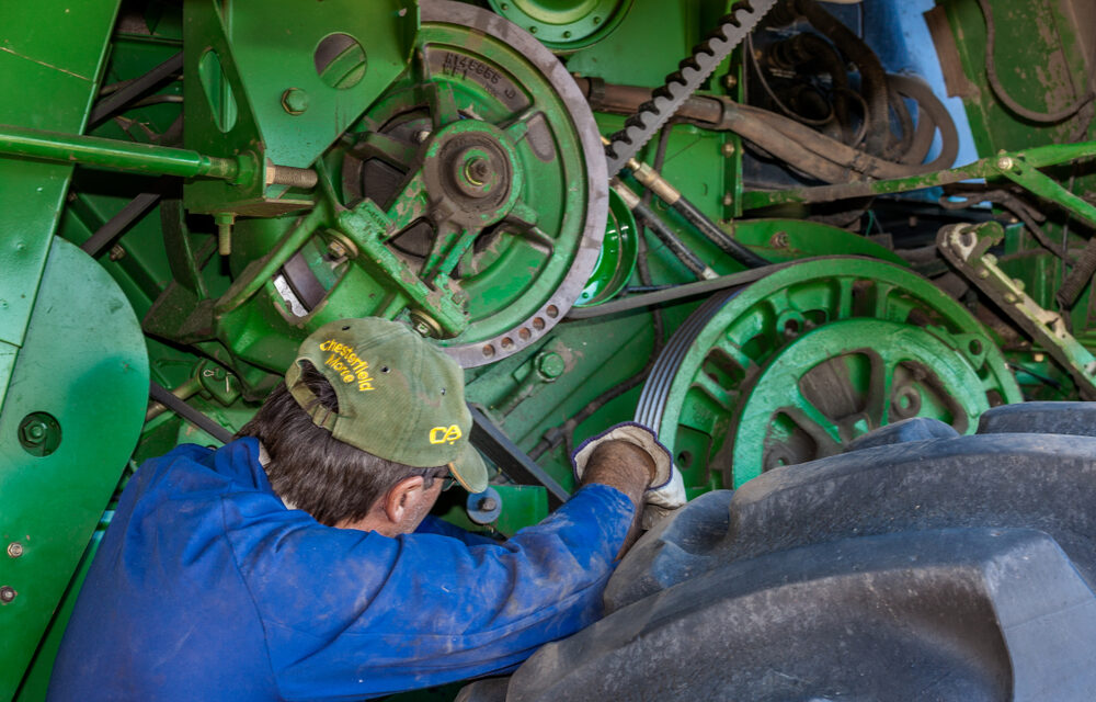 What is the Future of Agriculture Regenerative? How to Improve Sustainability in the Sector