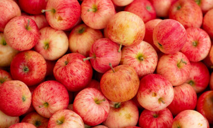 Eat a Red Apple Day – 1st December 2023
