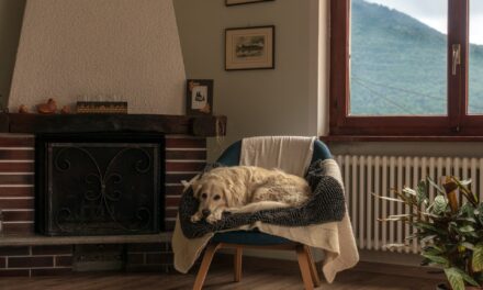 What is the UK Warm Home Discount Scheme and Do you Qualify for it?