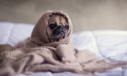 How to stay motivated on a cold and Dark Monday Morning.