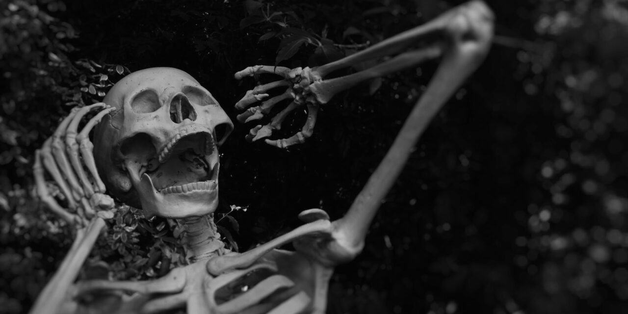 Are you ready for Halloween? Hear are some Great ideas.
