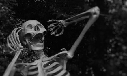 Are you ready for Halloween? Hear are some Great ideas.
