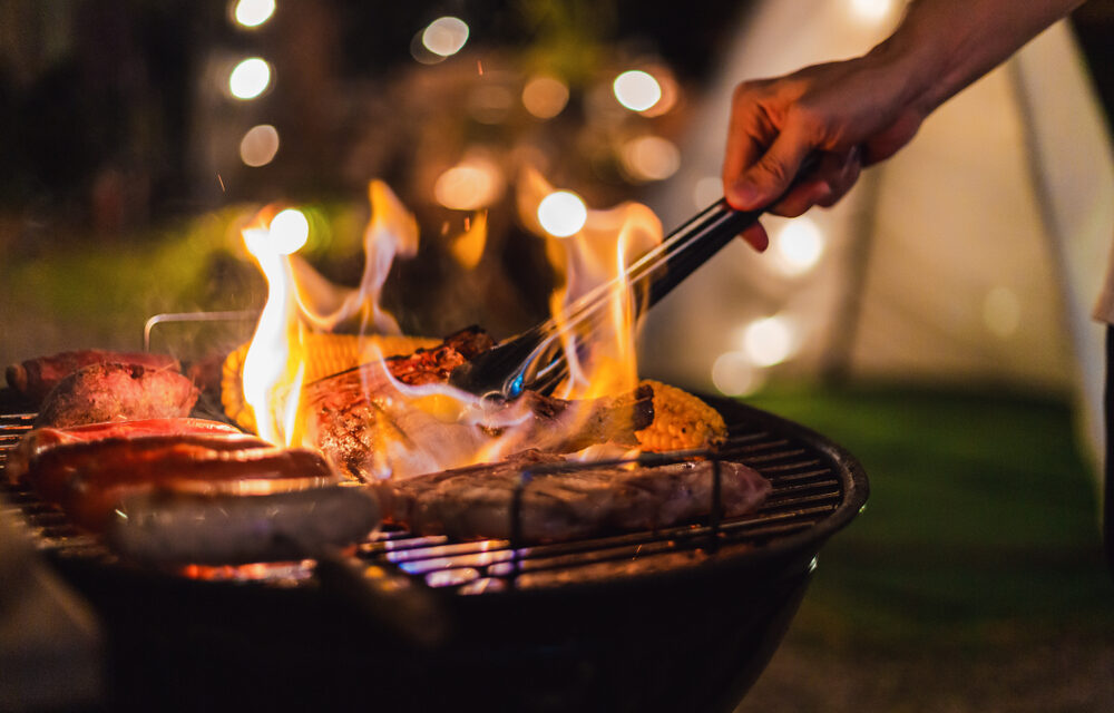 Unleashing The Potential of Different Woods for Your BBQ
