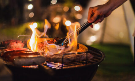 Unleashing The Potential of Different Woods for Your BBQ
