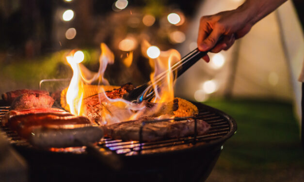 Unleashing The Potential of Different Woods for Your BBQ