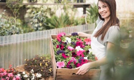 Floral Wonders That Enchant Your Garden