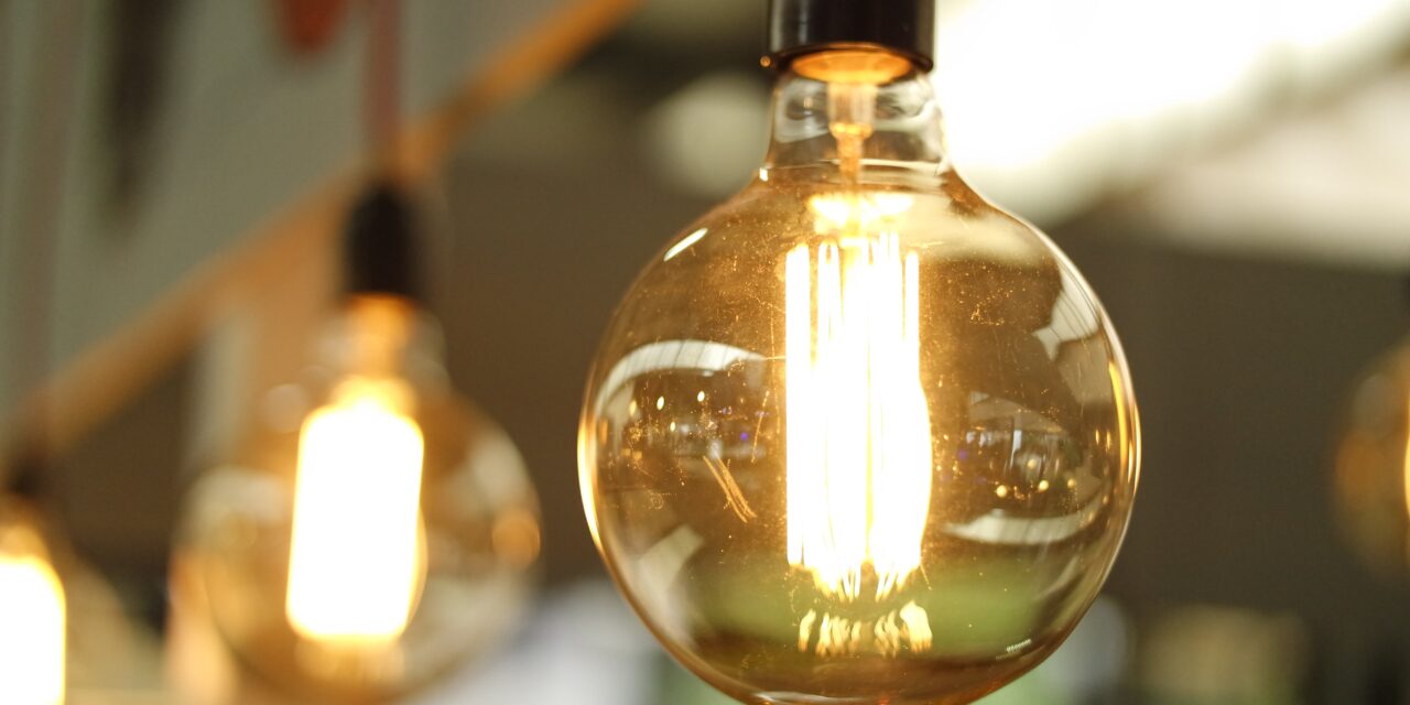 Energy experts welcome new Demand Flexibility Service