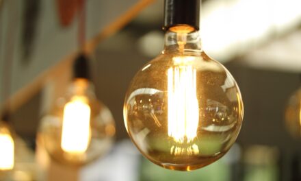 Energy experts welcome new Demand Flexibility Service