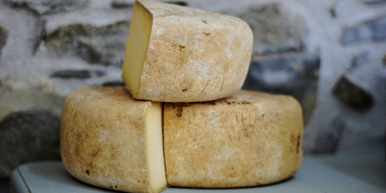 Benefits of Manchego Cheese