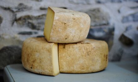 Benefits of Manchego Cheese