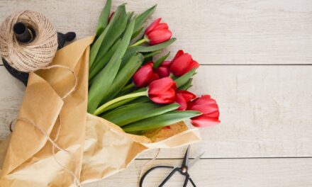 The Language of Blooms: Occasions When It’s Appropriate to Give Flowers