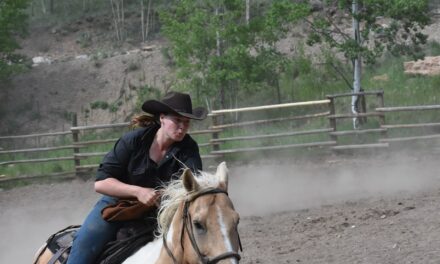 Protecting Young Riders: Choosing the Perfect Children’s Riding Hat