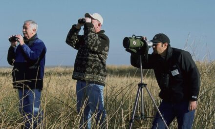 Big Schools Birdwatch 2024