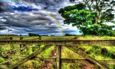 Why is it Great to do business in Cheshire?