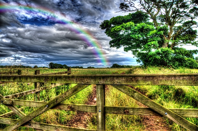 Why is it Great to do business in Cheshire?