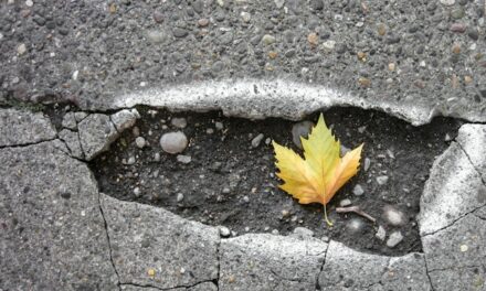 Pothole chaos looming amid cold snap, expert warns