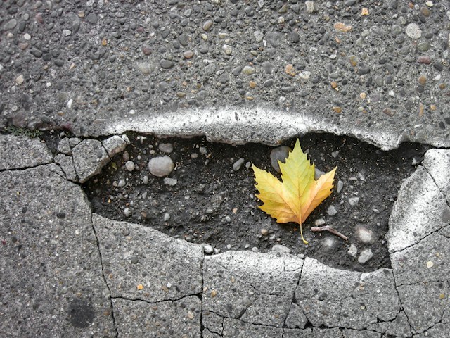 Pothole chaos looming amid cold snap, expert warns