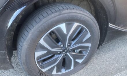 Flat tyres not flat batteries let EVs down