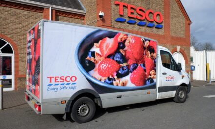 Becoming Sustainable: What to Look for in a Supermarket?