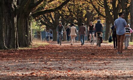List of Top parks to take the kids in Manchester