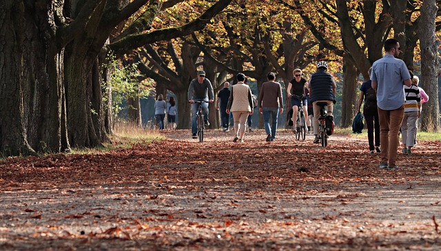 List of Top parks to take the kids in Manchester
