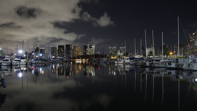 What is Endo The Night 2024?