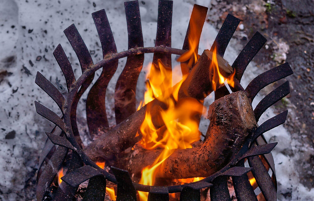 How You Can Transform Your Garden into a Cosy Winter Retreat