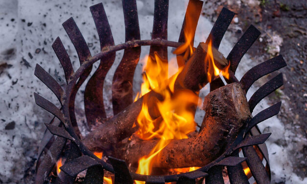 How You Can Transform Your Garden into a Cosy Winter Retreat